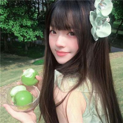 骑士的漫游