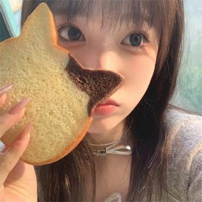 神秘博士第四季